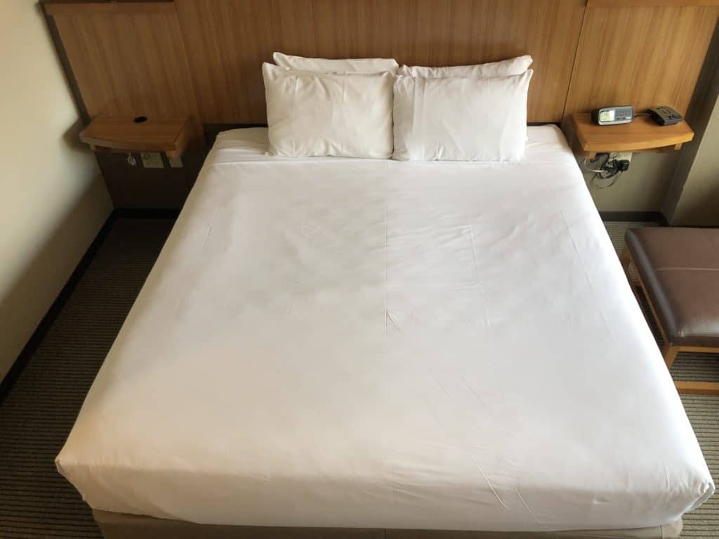 Hyatt Place New York Midtown South King Bed