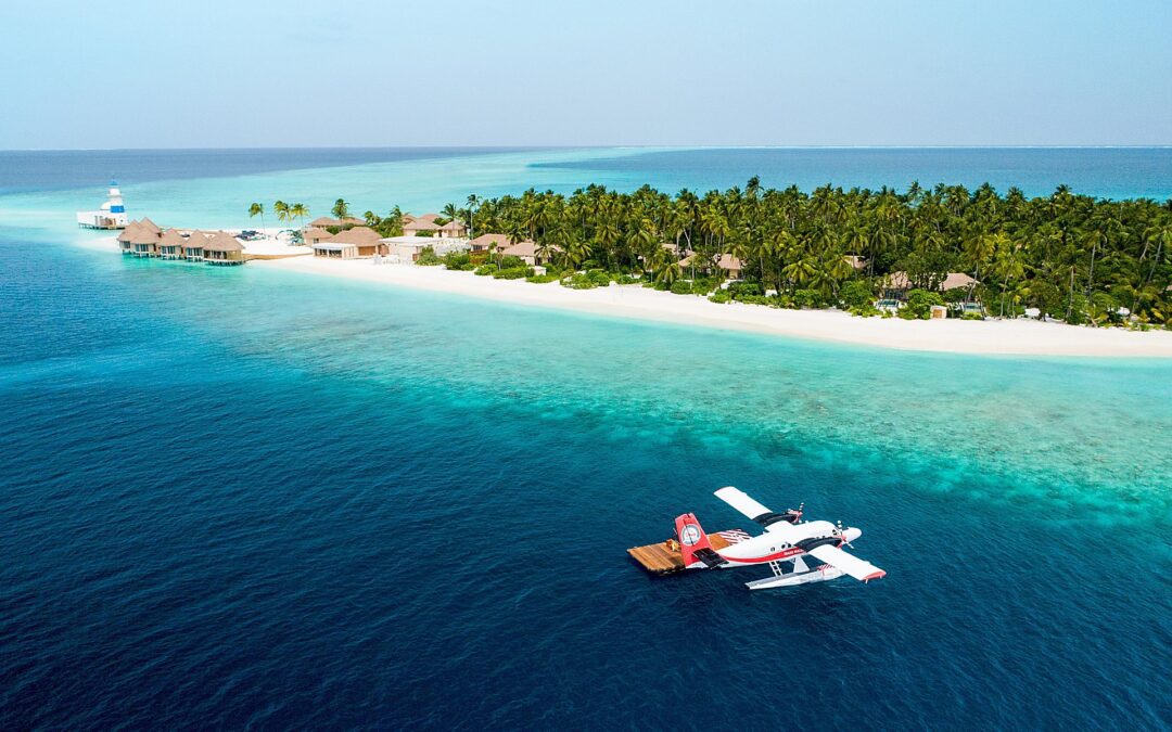 20 Best Diving Resorts in the World You Can Book Using Points [2025]