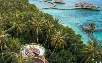 Soneva Jani vs. Soneva Fushi – Barefoot Luxury in the Maldives [2025]