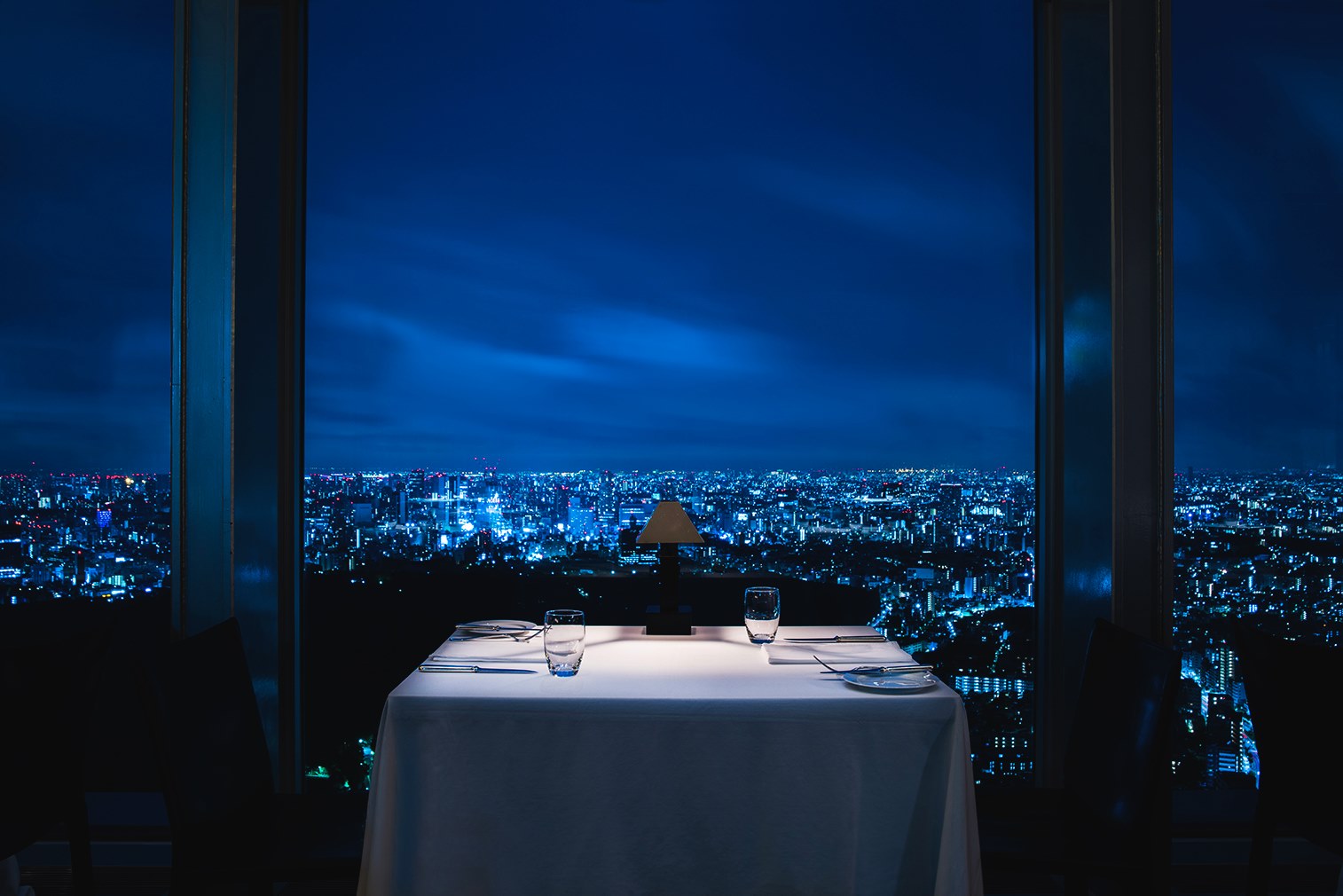 Park Hyatt Tokyo - New York Grill