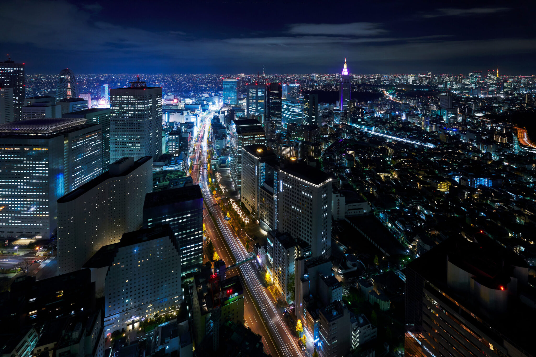 Park Hyatt Tokyo - View from Winter Guest Room