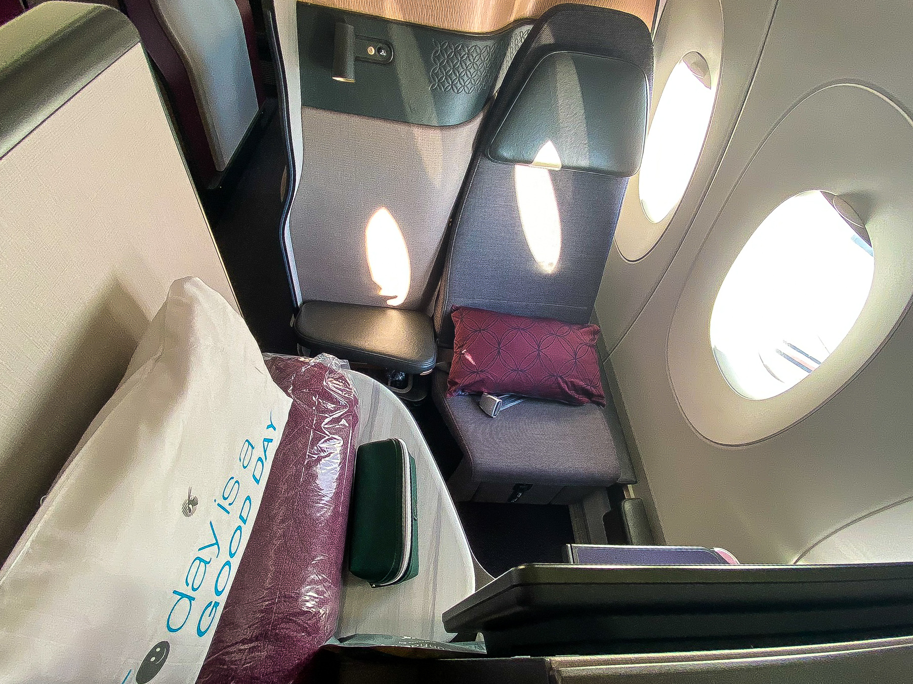 Qatar Airways Qsuites window seat