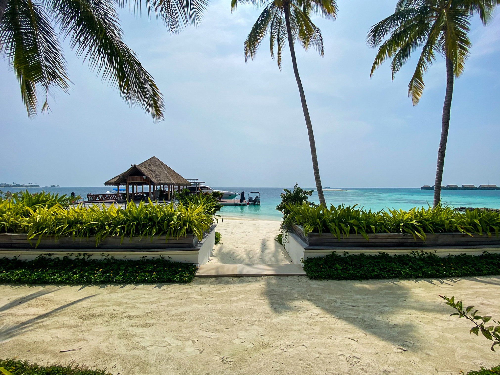 Waldorf Astoria Maldives Ithaafushi Peacock Alley outside view