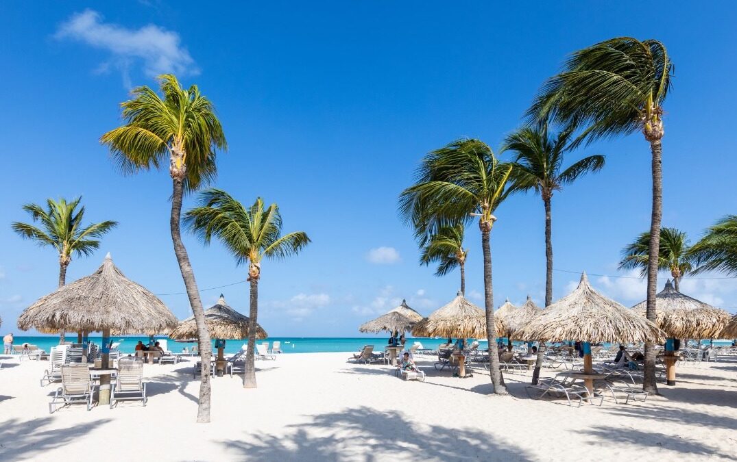 Hilton Aruba Caribbean Resort & Casino vs. Hyatt Regency Aruba Resort Spa and Casino [2025]
