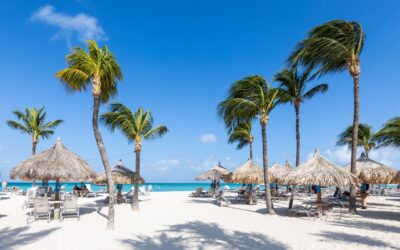 Hilton Aruba Caribbean Resort & Casino vs. Hyatt Regency Aruba Resort Spa and Casino [2025]
