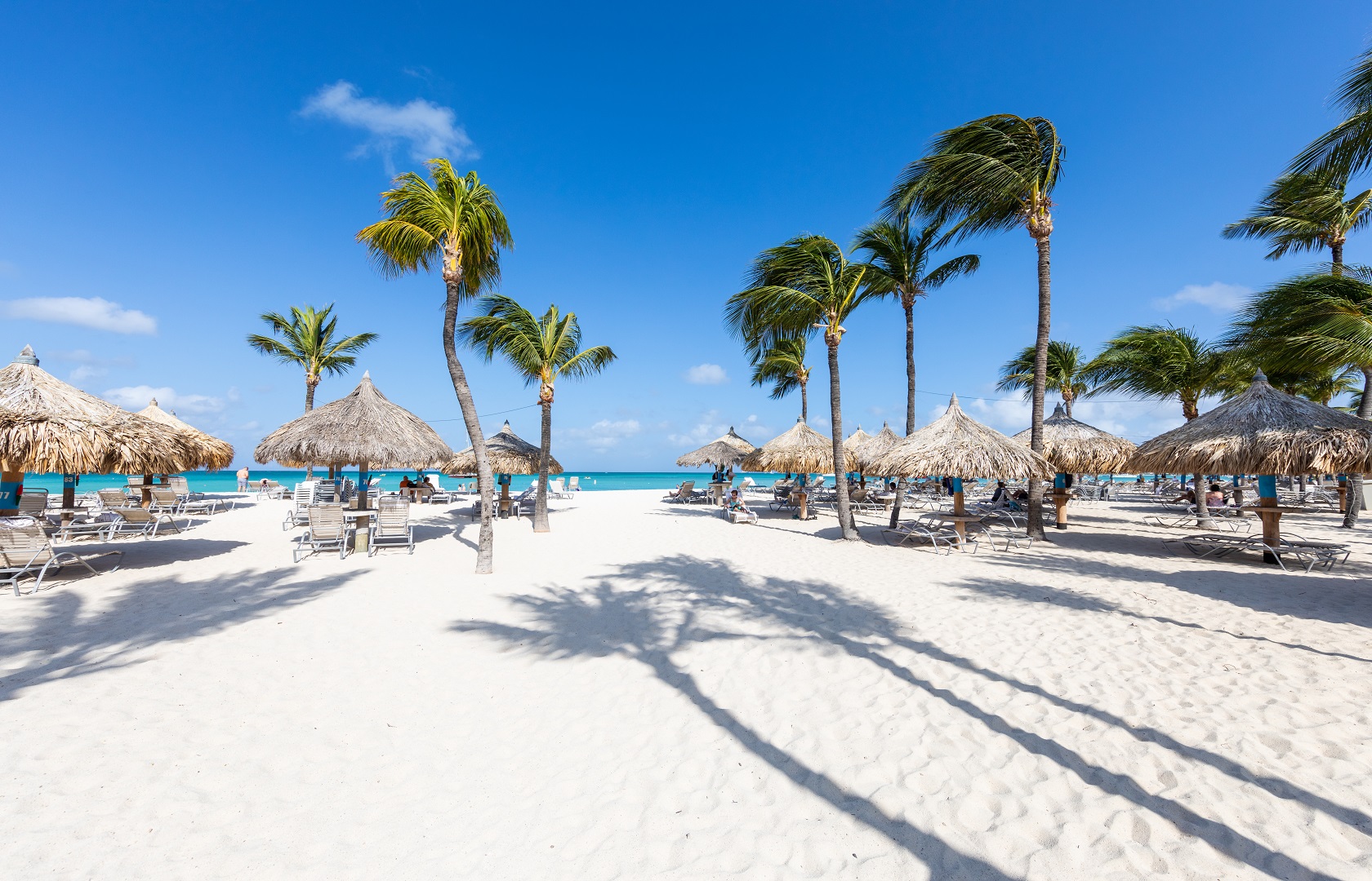 Hilton Aruba Caribbean Resort & Casino Beach