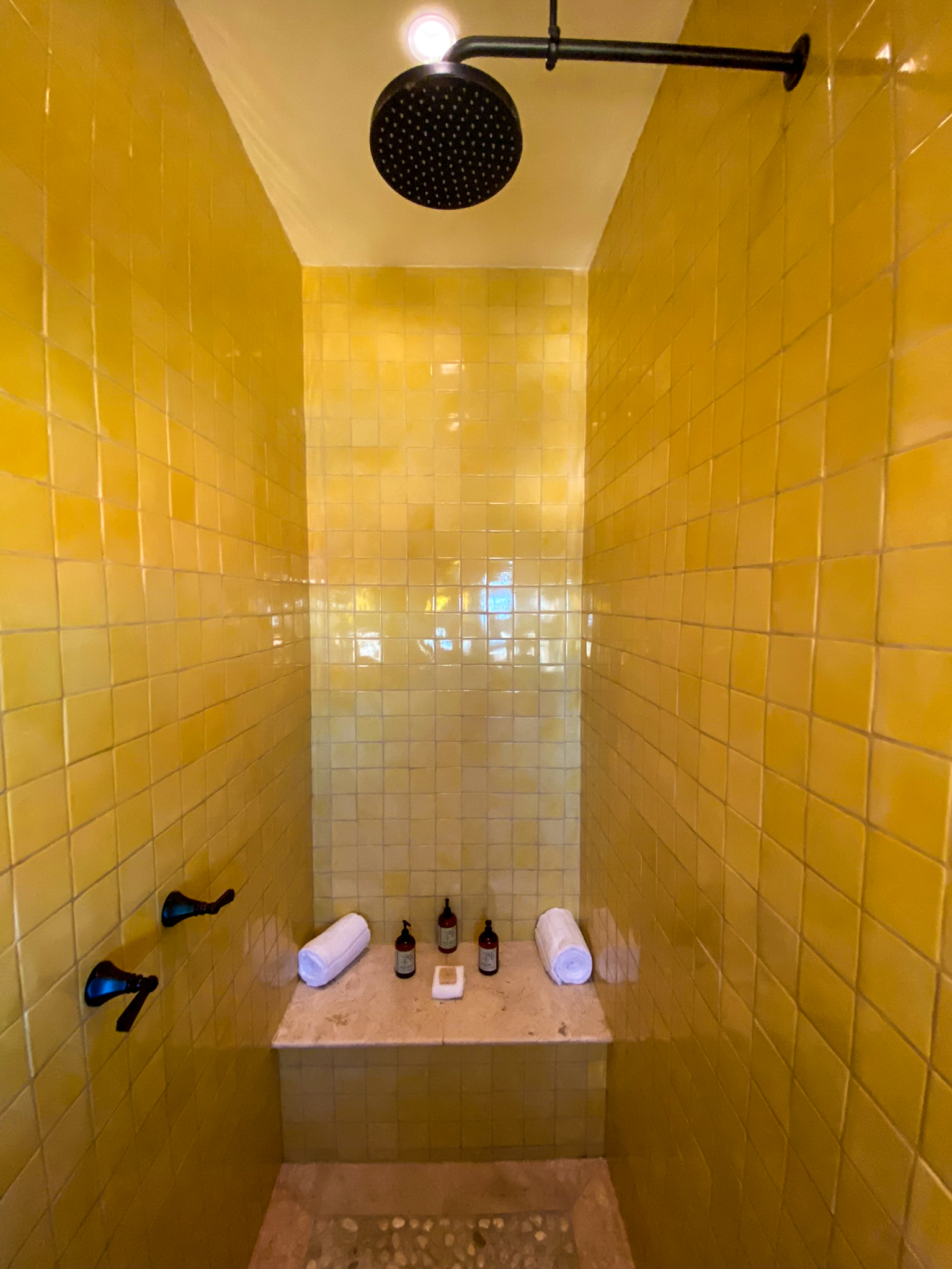 Waldorf Astoria Los Cabos Pedregal Two Bedroom Ocean View Villa with Plunge Pool walk-in rain shower