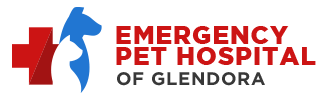 Emergency-Pet-Hospital-Glendora